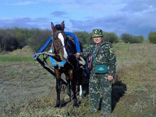 И увезет весь мусор.